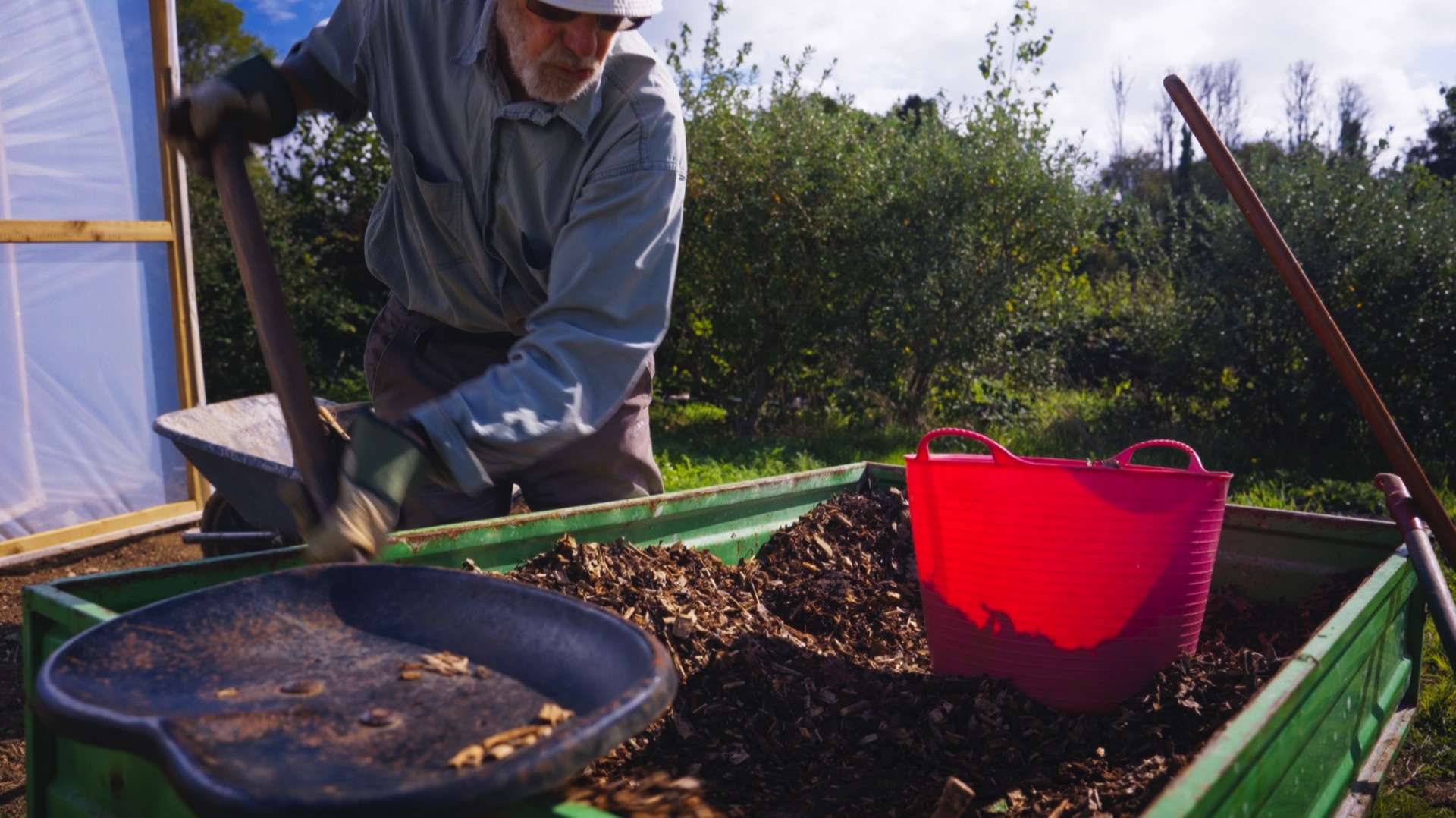 A volunteer shovelling woodchip from a trailer at Loveland Market Garden