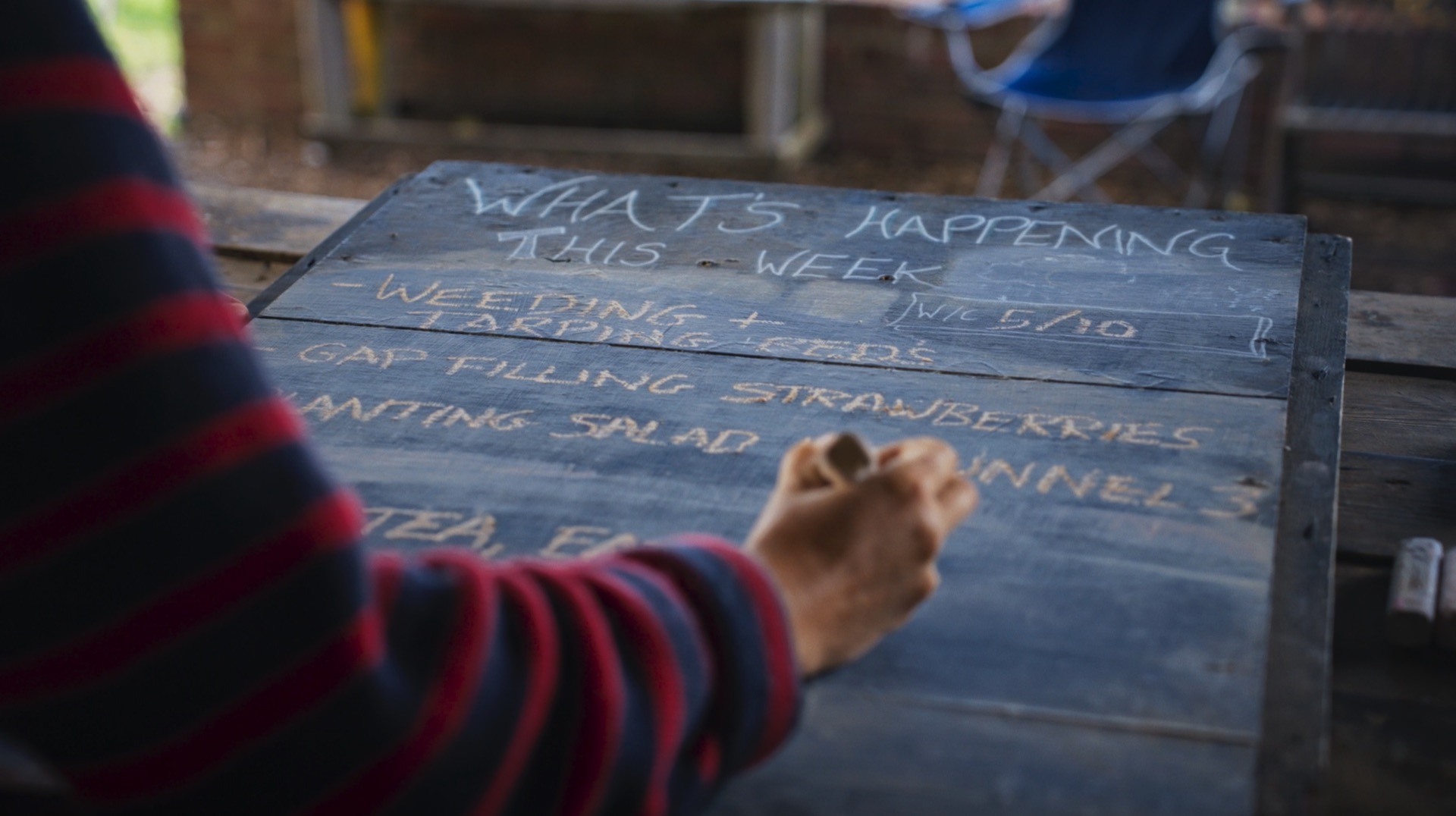 Chalkboard listing the week's jobs at Loveland Market Garden: weeding, gap filling strawberries and planting salad
