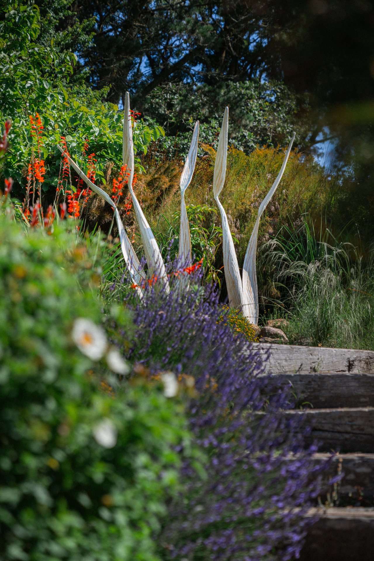 Tremenheere Sculpture Gardens, photography by Adam Drake Studio, Cornwall