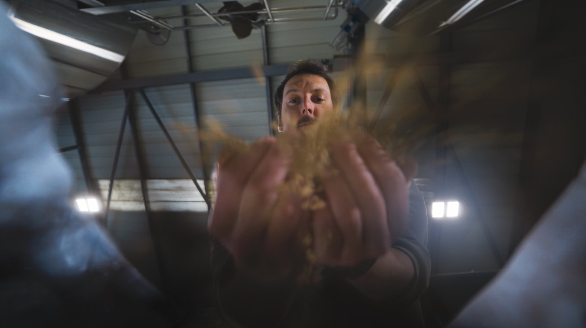Verdant Grain In Hands — Food & Drink photography by Adam Drake Studio
